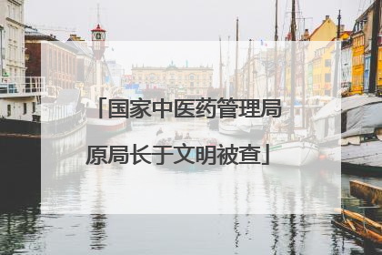 国家中医药管理局原局长于文明被查