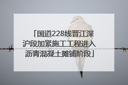 国道228线晋江深沪段加紧施工工程进入沥青混凝土摊铺阶段