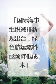 国际海事组织减排新规出台，绿色航运燃料亟须降低成本