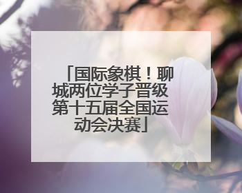 国际象棋！聊城两位学子晋级第十五届全国运动会决赛