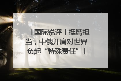 国际锐评丨挺膺担当，中俄并肩对世界负起“特殊责任”