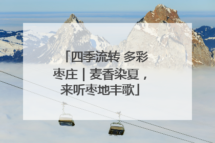 四季流转 多彩枣庄｜麦香染夏，来听枣地丰歌