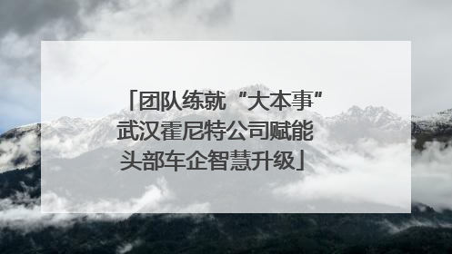 团队练就“大本事” 武汉霍尼特公司赋能头部车企智慧升级
