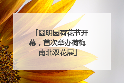 圆明园荷花节开幕，首次举办荷梅南北双花展