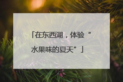 在东西湖，体验“水果味的夏天”
