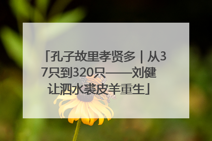 孔子故里孝贤多｜从37只到320只——刘健让泗水裘皮羊重生