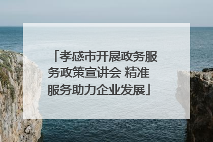 孝感市开展政务服务政策宣讲会 精准服务助力企业发展