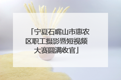 宁夏石嘴山市惠农区职工摄影暨短视频大赛圆满收官