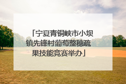 宁夏青铜峡市小坝镇先锋村葡萄整穗疏果技能竞赛举办