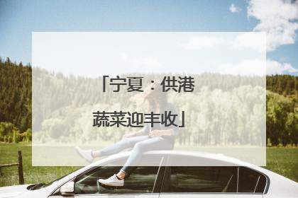 宁夏：供港蔬菜迎丰收