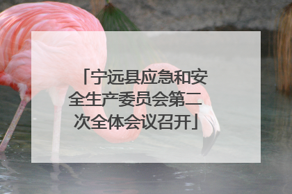 宁远县应急和安全生产委员会第二次全体会议召开