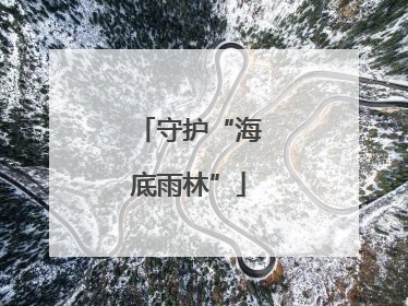 守护“海底雨林”