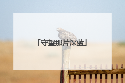 守望那片深蓝