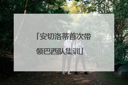 安切洛蒂首次带领巴西队集训