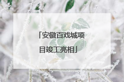 安徽百戏城项目竣工亮相