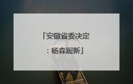 安徽省委决定：杨森履新