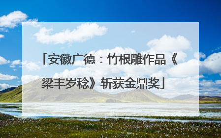 安徽广德：竹根雕作品《梁丰岁稔》斩获金鼎奖