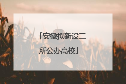 安徽拟新设三所公办高校