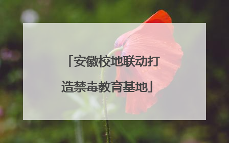 安徽校地联动打造禁毒教育基地
