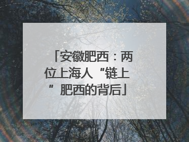 安徽肥西：两位上海人“链上”肥西的背后