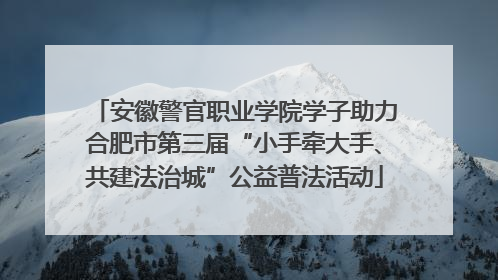 安徽警官职业学院学子助力合肥市第三届“小手牵大手、共建法治城”公益普法活动