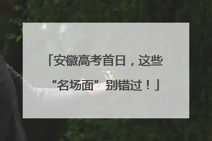安徽高考首日，这些“名场面”别错过！