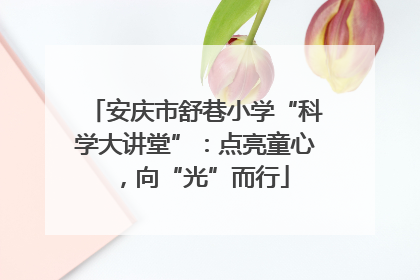 安庆市舒巷小学“科学大讲堂”：点亮童心，向“光”而行