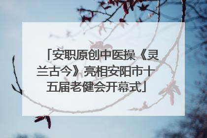 安职原创中医操《灵兰古今》亮相安阳市十五届老健会开幕式