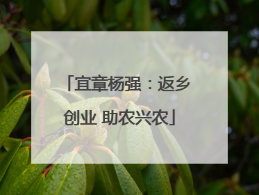 宜章杨强：返乡创业 助农兴农