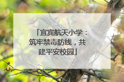 宜宾航天小学：筑牢禁毒防线，共建平安校园