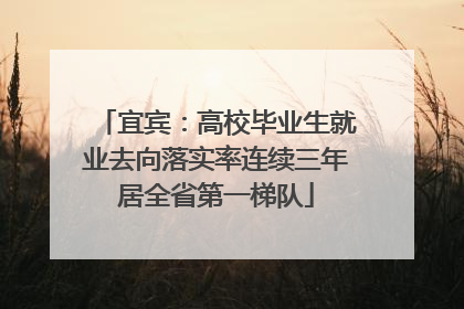 宜宾：高校毕业生就业去向落实率连续三年居全省第一梯队