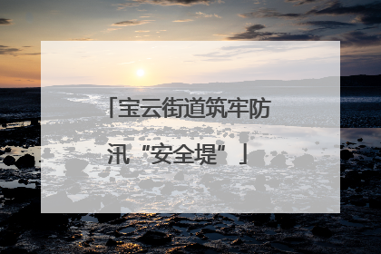宝云街道筑牢防汛“安全堤”