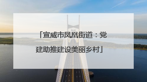 宣威市凤凰街道：党建助推建设美丽乡村