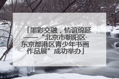 墨彩交融，情谊绵延——“北京市朝阳区·东京都港区青少年书画作品展”成功举办