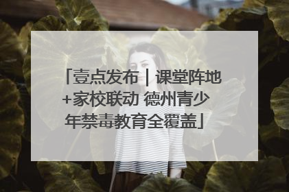 壹点发布｜课堂阵地+家校联动 德州青少年禁毒教育全覆盖