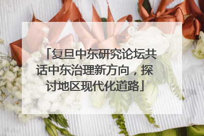 复旦中东研究论坛共话中东治理新方向，探讨地区现代化道路