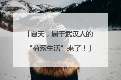 夏天，属于武汉人的“荷系生活”来了！