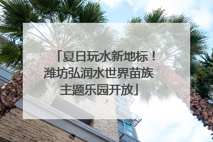 夏日玩水新地标！潍坊弘润水世界苗族主题乐园开放