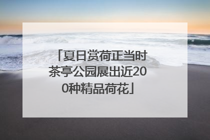 夏日赏荷正当时 茶亭公园展出近200种精品荷花