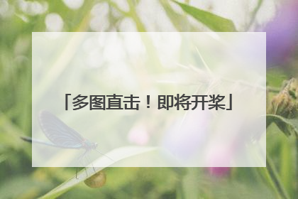 多图直击！即将开桨