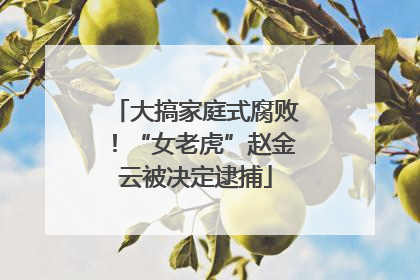 大搞家庭式腐败！“女老虎”赵金云被决定逮捕