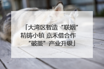 大湾区智造“联姻”精铸小镇 嘉禾借合作“破茧”产业升级