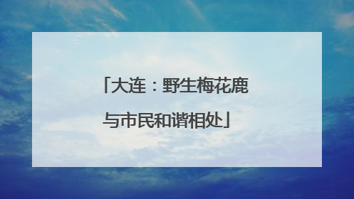 大连：野生梅花鹿与市民和谐相处