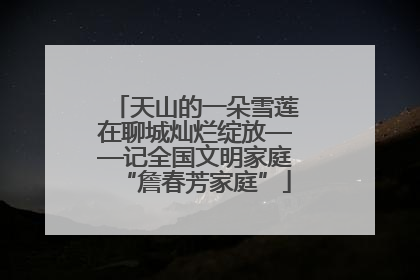 天山的一朵雪莲在聊城灿烂绽放——记全国文明家庭“詹春芳家庭”