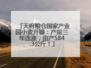天府粮仓国家产业园小麦开镰：产量三年连涨，亩产584.3公斤！