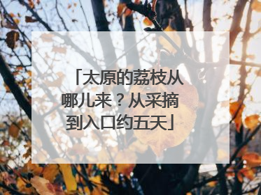 太原的荔枝从哪儿来？从采摘到入口约五天
