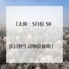 太原：5月份 50多只野生动物获救助