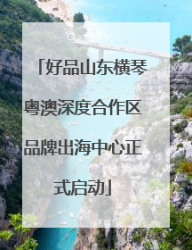 好品山东横琴粤澳深度合作区品牌出海中心正式启动