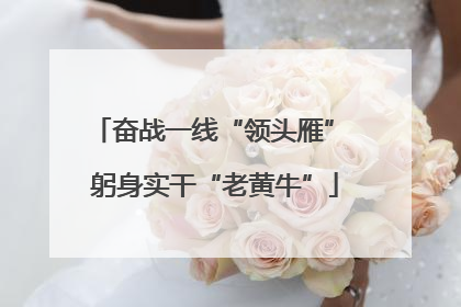 奋战一线“领头雁” 躬身实干“老黄牛”