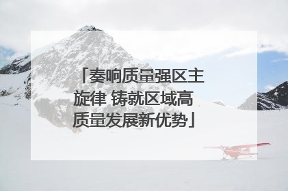 奏响质量强区主旋律 铸就区域高质量发展新优势